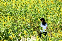 迷路の中のセーラー服
