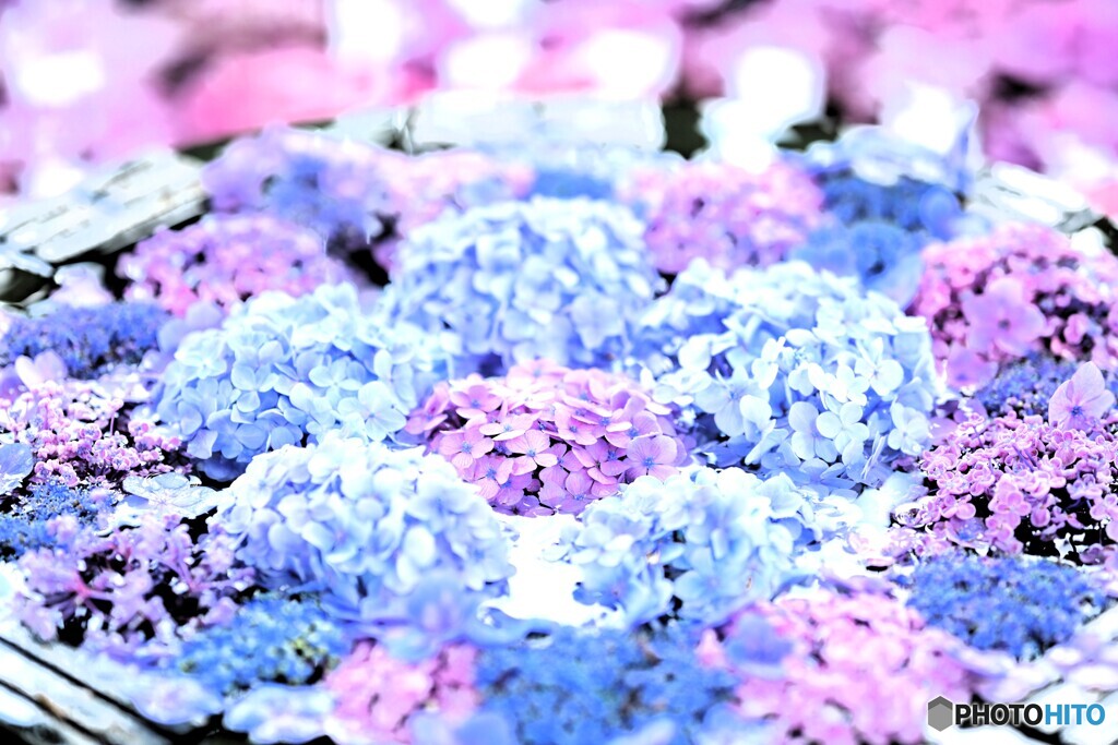 花手水