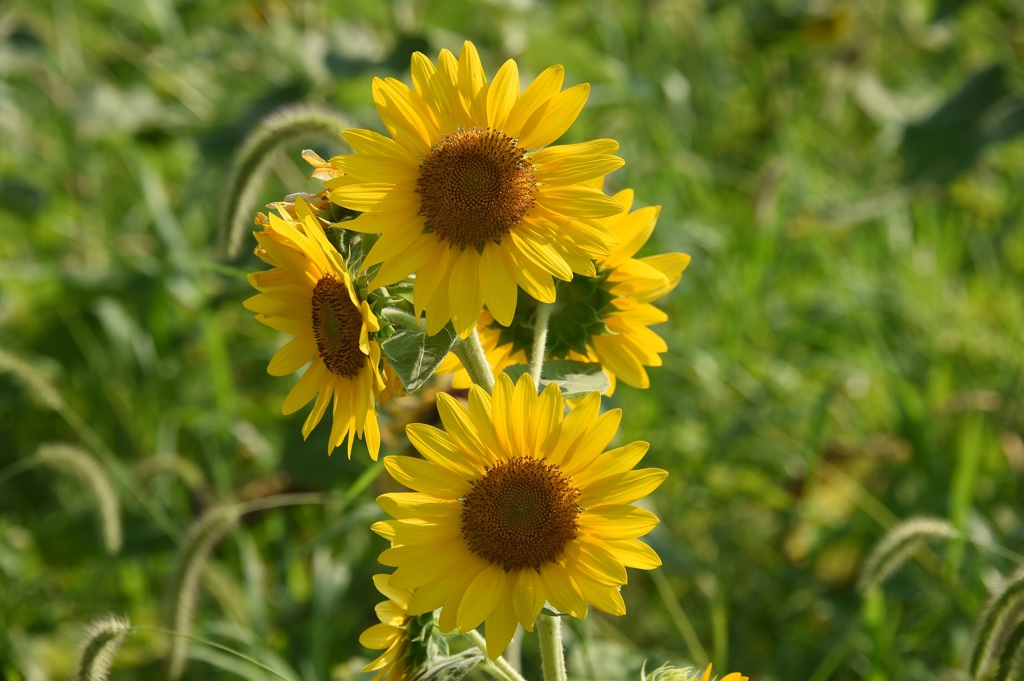 何と言いますかーー