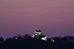 弥生彦根城夕景3