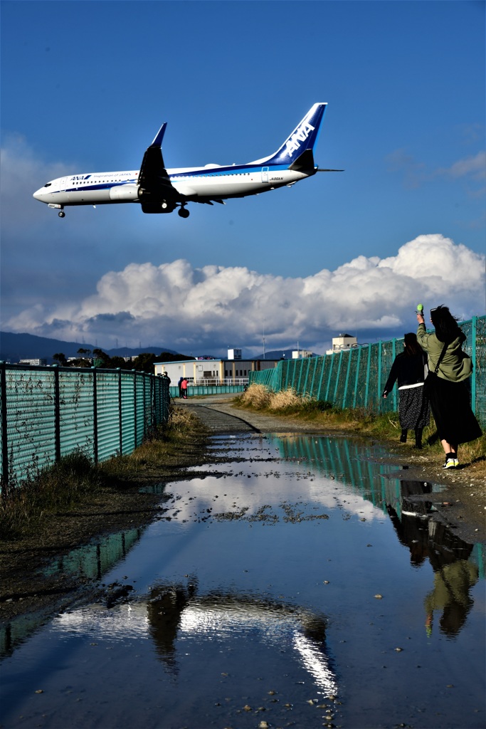水たまりの寸景