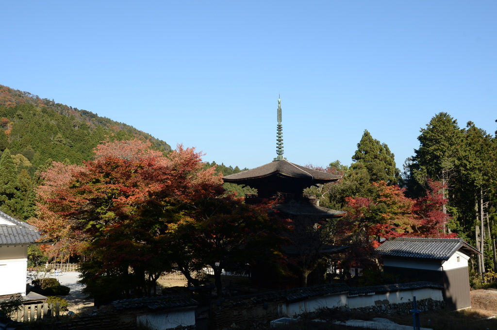 徳源院４