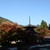 徳源院４