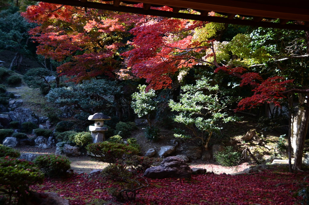 徳源院２