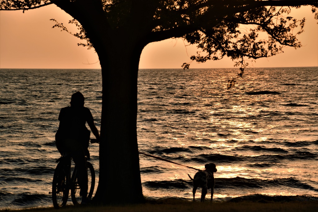 愛犬と見る夕景