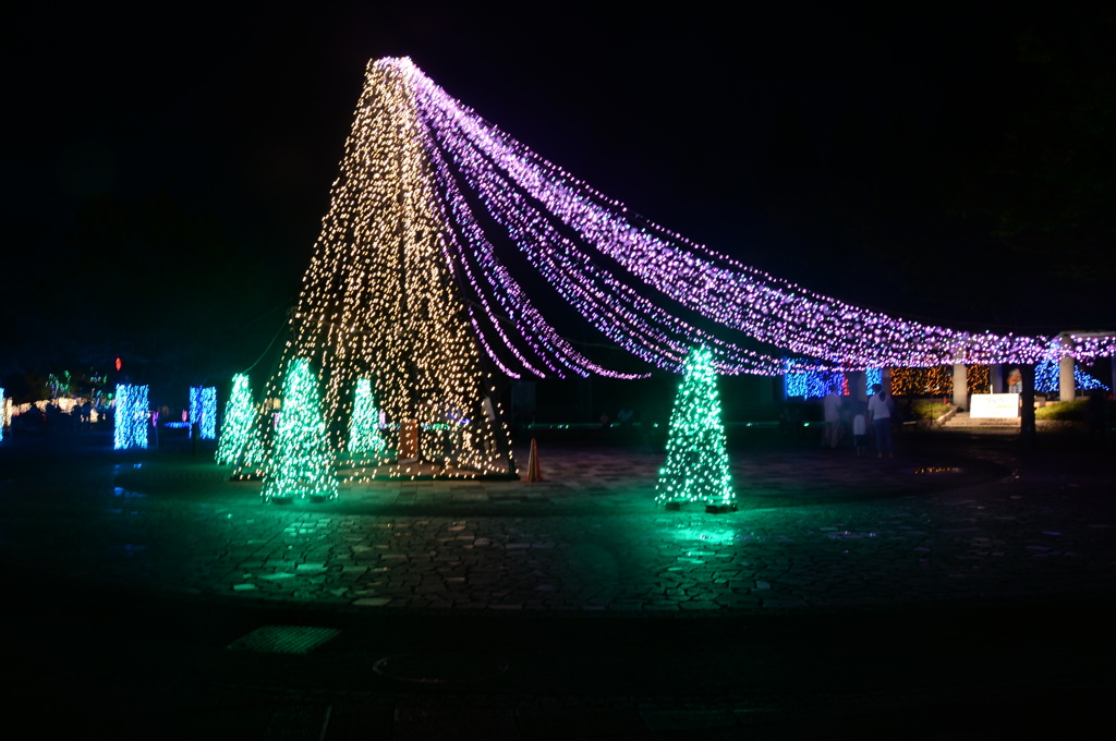 2014ｺﾄﾅﾘｴ５