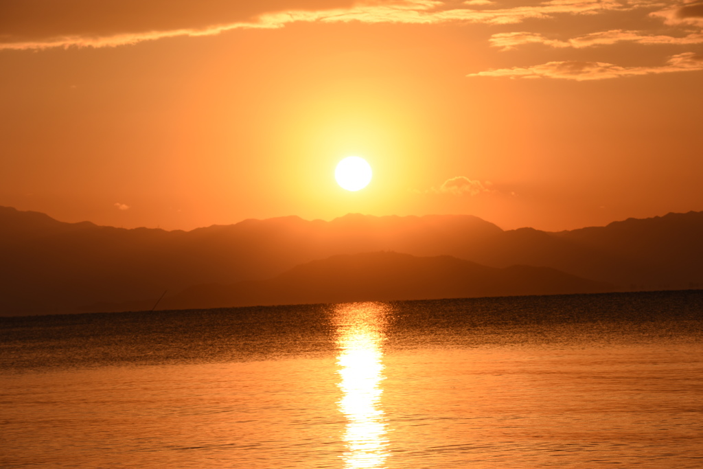 ｵﾚﾝｼﾞ色に染まる