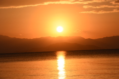 ｵﾚﾝｼﾞ色に染まる