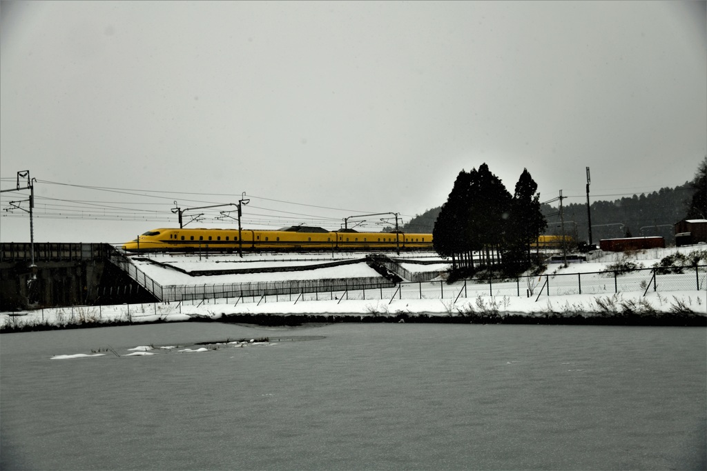 雪の日のイエロー