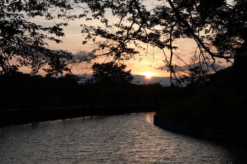 彦根城内濠夕景