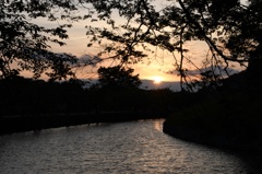彦根城内濠夕景