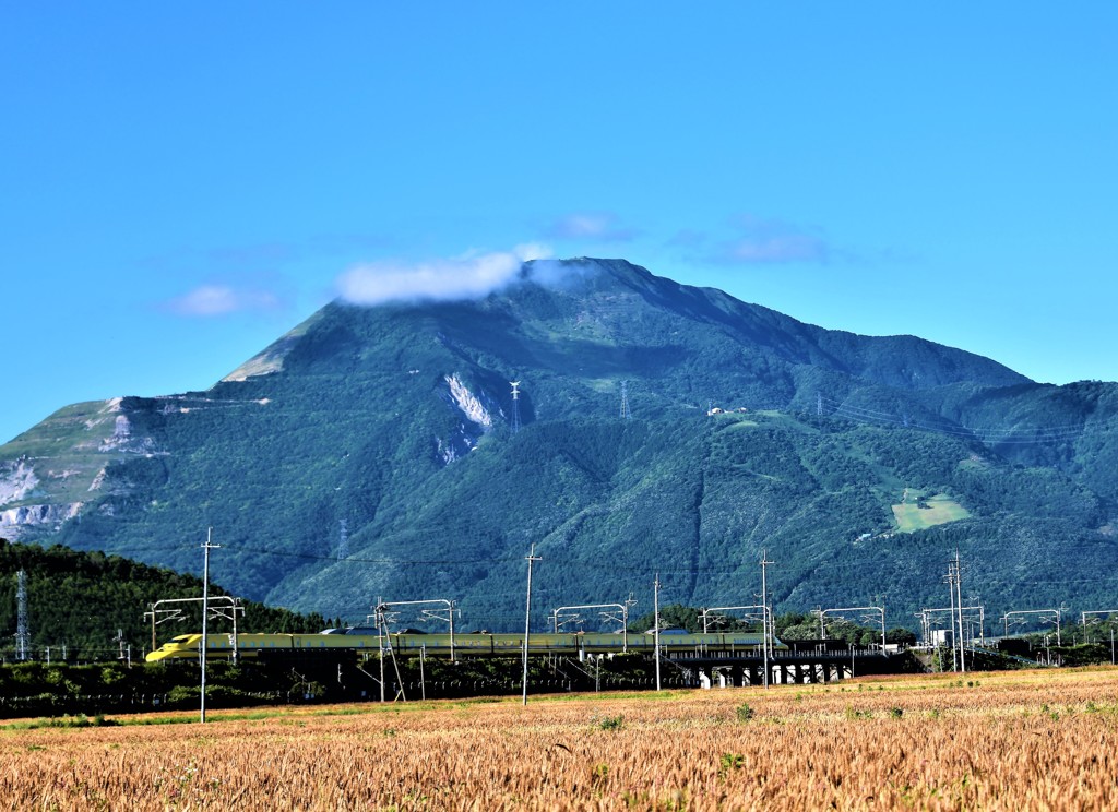 梅雨の晴れ間のイエロー