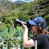 激写するカメ女さん