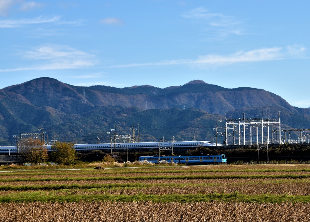 並んだか・・・？