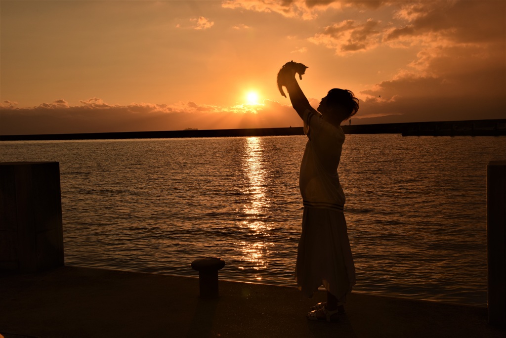 夕陽と末娘と子猫と・・・