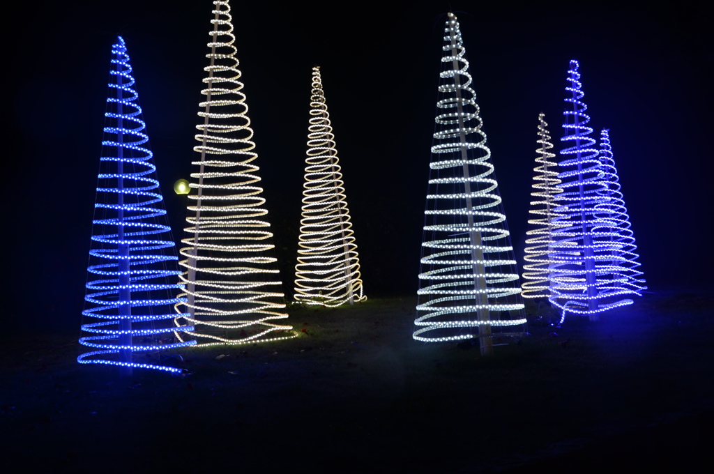 2014ｺﾄﾅﾘｴ３