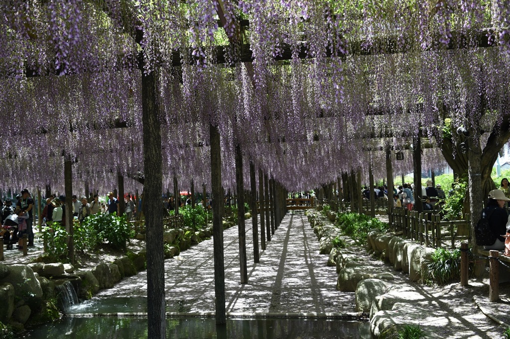 天王川公園１