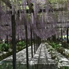 天王川公園１