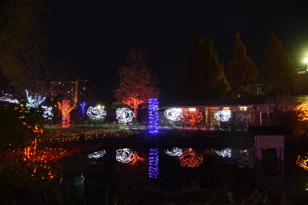 ｲﾝｸﾞﾘｯｼｭｶﾞｰﾃﾞﾝ3