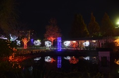 ｲﾝｸﾞﾘｯｼｭｶﾞｰﾃﾞﾝ3