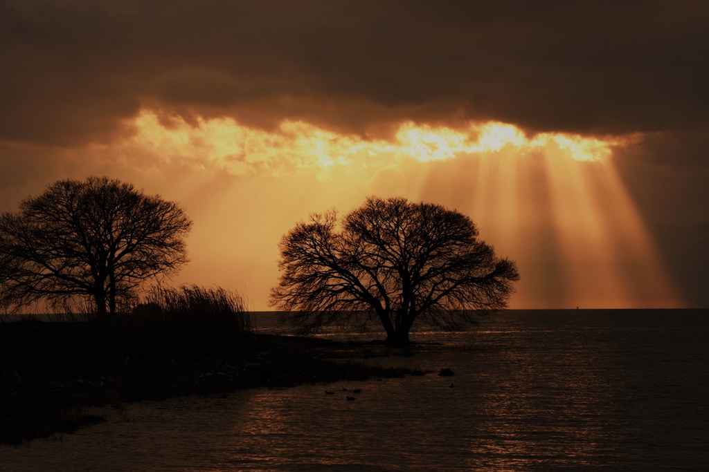 カーテンコール