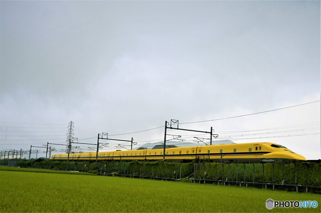 雨にも負けずに