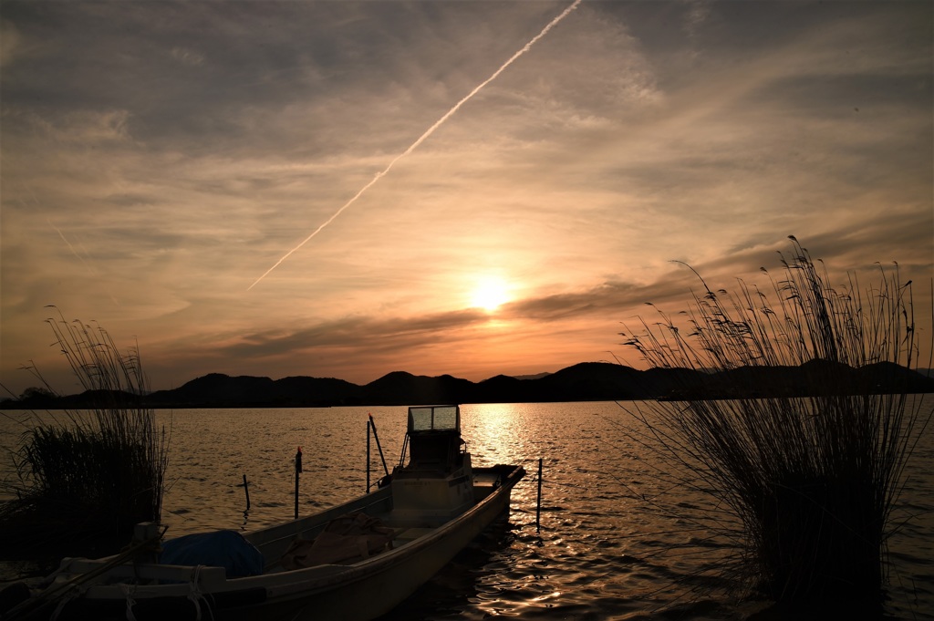 西の湖夕景①