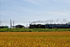麦走！C56！