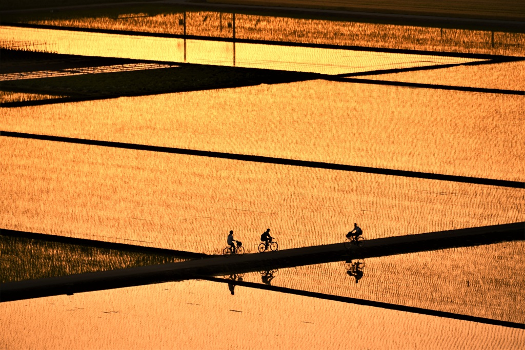 夕焼け　帰り道