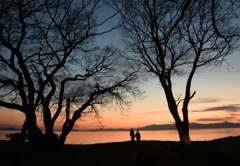 手をつないで見る夕景