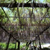 天王川公園５