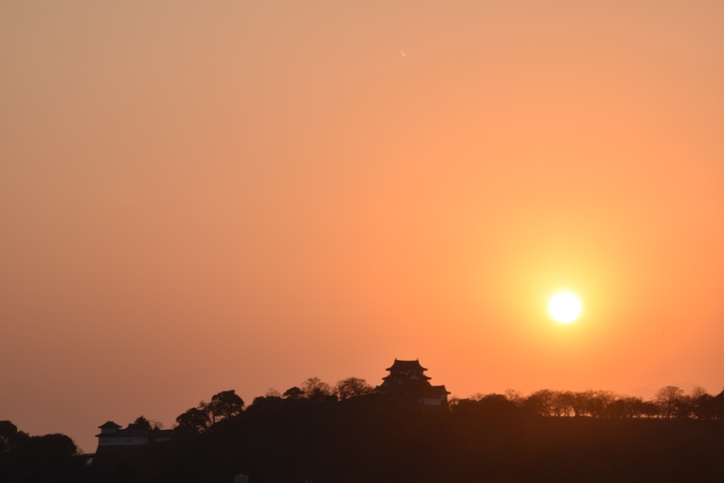 弥生彦根城夕景1