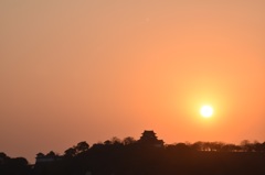 弥生彦根城夕景1