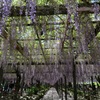 天王川公園４