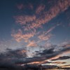 飛翔する夕景