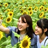 ひまわりより素敵な笑顔！