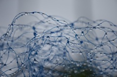 雨上がり2