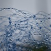 雨上がり2