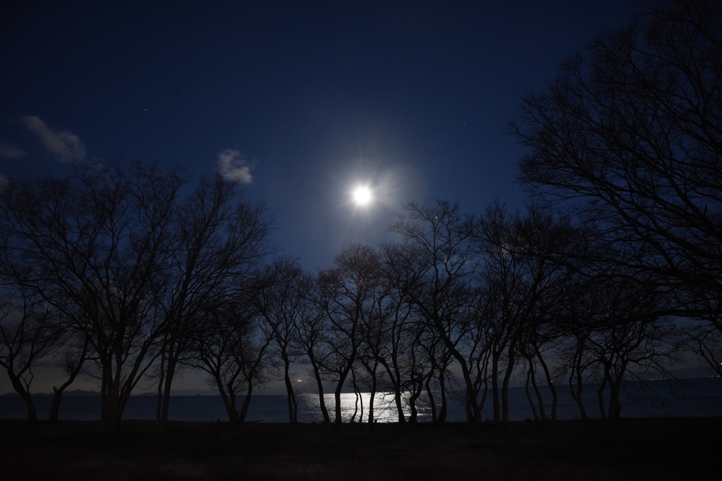 如月長浜月景2