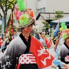 彩る華