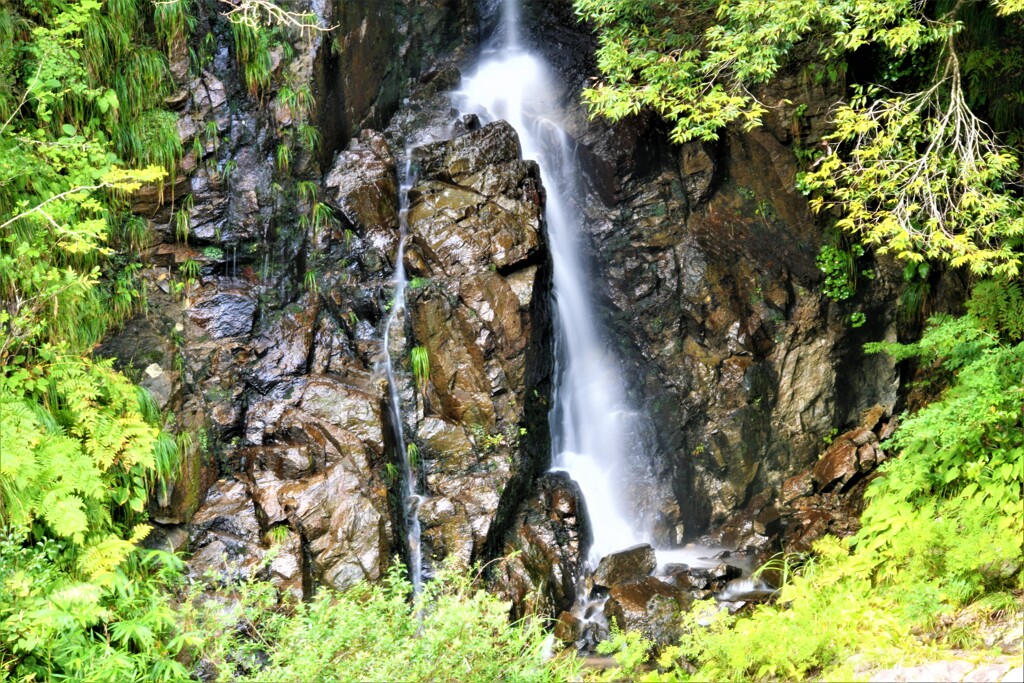 山の息吹