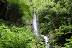 涼５