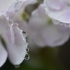 雨上がり3