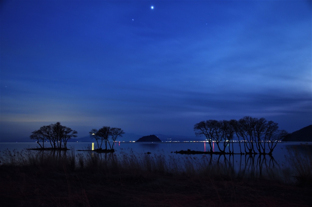 月明かりに酔う