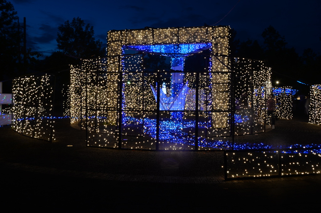 2014ｺﾄﾅﾘｴ１