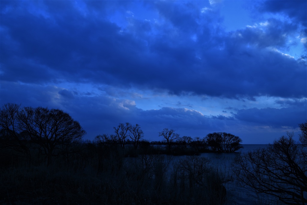 動かない風景