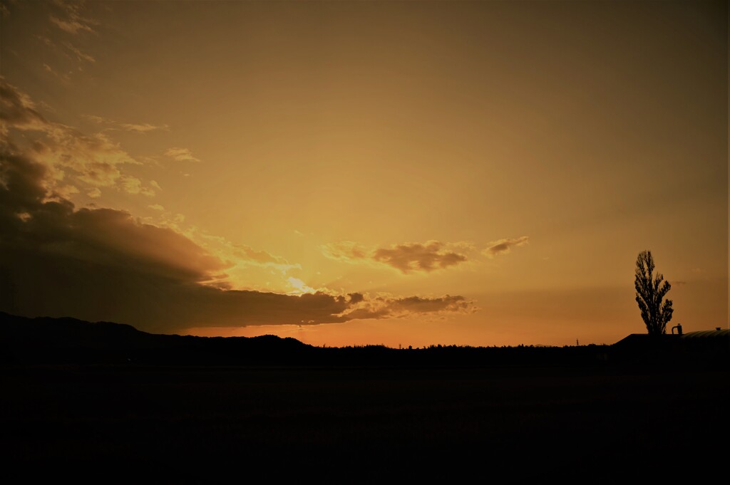 帰り道に見た夕景