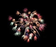 長浜ｺﾝﾎﾟｼﾞ２