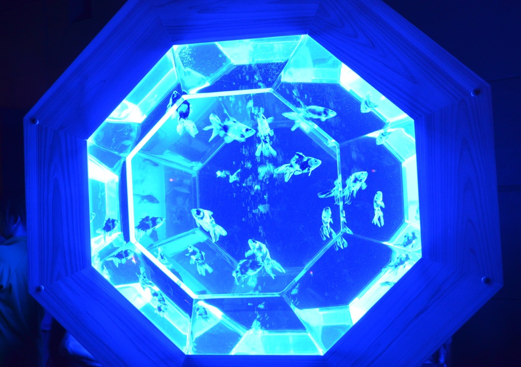 ｱｰﾄｱｸｱﾘｳﾑ１４