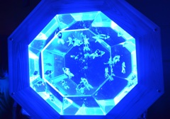 ｱｰﾄｱｸｱﾘｳﾑ１４